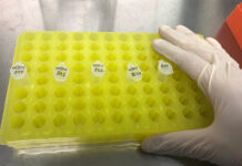 Đến 12 giờ ngày 28-7, Khánh Hòa ghi nhận thêm 73 ca dương tính với SARS-CoV-2