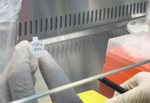 Đến 7 giờ ngày 27-7, Khánh Hòa có thêm 83 bệnh nhân mắc Covid-19 đã được điều trị khỏi bệnh