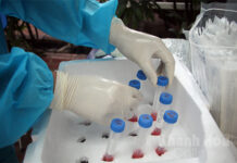 Đến 7 giờ ngày 2-8, Khánh Hòa có thêm 56 bệnh nhân mắc Covid-19 đã được điều trị khỏi bệnh