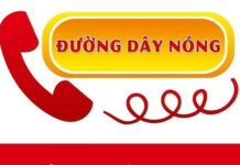 Quyết định về việc ban hành quy trình tiếp nhận xử lý thông tin phản ánh của người dân thông qua đường dây nóng của ttyt cam lâm