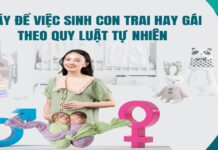 Một số hoạt động truyền thông hưởng ứng ngày Dân số Thế giới 11/7 năm 2024 tại huyện Cam Lâm