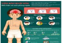 Bài tuyên truyền về phòng bệnh Viêm não Nhật Bản