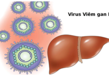 NHỮNG ĐIỀU CẦN BIẾT VỀ BỆNH VIÊM GAN VI RÚT
