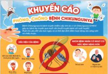 KHUYẾN CÁO PHÒNG CHỐNG BỆNH CHIKUNGUNYA