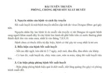 BÀI TUYÊN TRUYỀN PHÒNG, CHỐNG BỆNH SỐT XUẤT HUYẾT